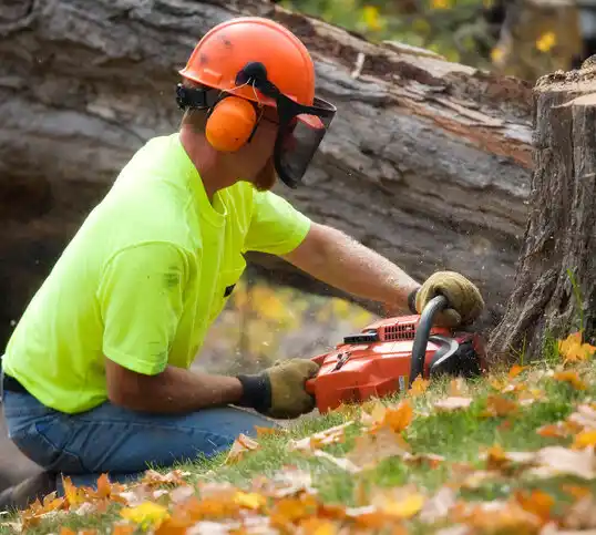 tree services Nixa